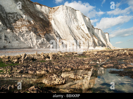 Les falaises de craie et d'estran à St Margarets at Cliffe St Maargaret's Bay près de Dover Kent Banque D'Images