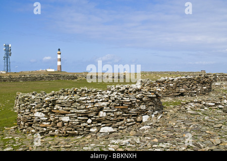 Dh Dennis Ness NORTH RONALDSAY Crues Orcades enceinte en pierre des murs de jardin et Nord Ronaldsay lighthouse Banque D'Images