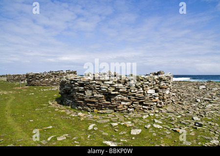 Dh Dennis Ness NORTH RONALDSAY ORKNEY Crues les murs du jardin de l'enceinte en pierre Banque D'Images