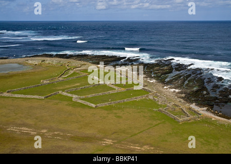 Dh Dennis Ness NORTH RONALDSAY ORKNEY Sinsoss Point shore et boîtiers de moutons Banque D'Images