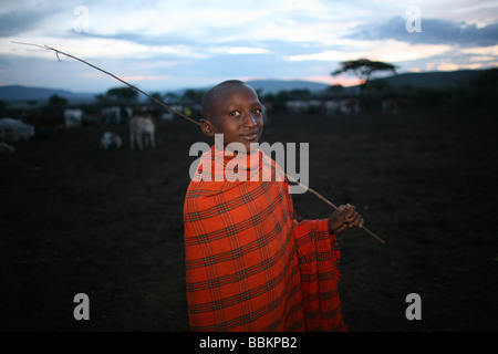 Ngoiroro est un village de 200 habitants appartenant à la tribu Massai Le village jette droit dans la vallée du Rift au sud de Nairobi, la frontière tanzanienne les Massaïs vivent très près de la nature et de leurs animaux, les vaches et les chèvres sont plus importants que l'argent pour les Massaïs chaque famille est propriétaire d'environ 50 vaches et 50 chèvres l'alimentation principale des villageois est la viande et le lait sont des femmes suppose pour traire les vaches deux fois par jour et les petits garçons ont à s'occuper du troupeau pendant la journée tandis que le pâturage Banque D'Images