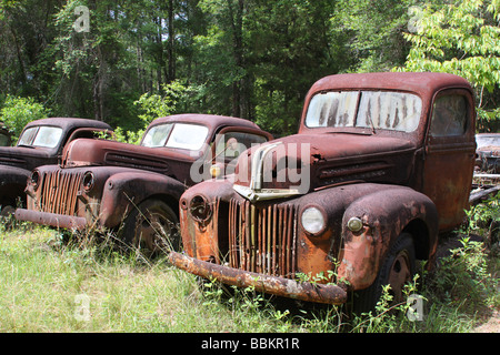 Old rusted automobiles sud des Etats-Unis Banque D'Images