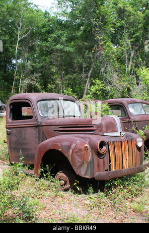 Old rusted automobiles sud des Etats-Unis Banque D'Images