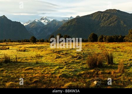 Les scènes montrant les terres agricoles paysage près de Fox Glacier Banque D'Images