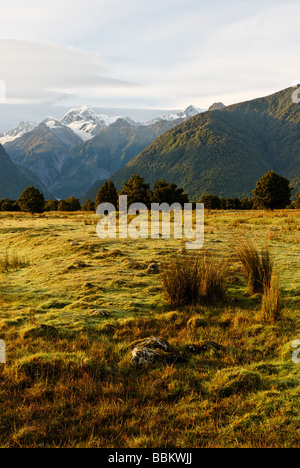 Les scènes montrant les terres agricoles paysage près de Fox Glacier Banque D'Images