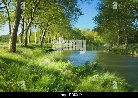 Canal du Midi. Languedoc Rousillon. France Banque D'Images