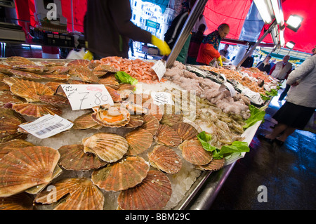 Les pétoncles en vente au marché aux poissons du Rialto Pescheria San Polo Venise Italie Banque D'Images