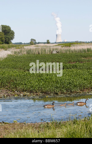 Cheminée d'une centrale nucléaire dans la nature verte contre ciel bleu personne aucune vue de face dans l'Ohio USA photos US image verticale haute résolution Banque D'Images