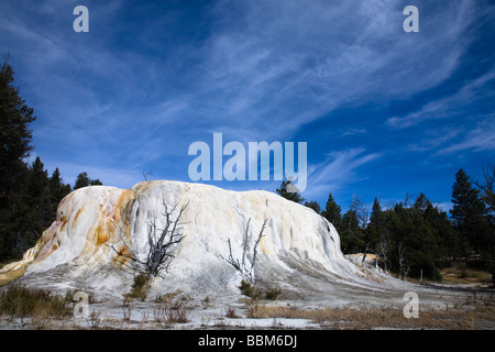 Printemps Orange Mound Travertin Mammoth Hot Springs Parc National de Yellowstone au Wyoming USA Banque D'Images