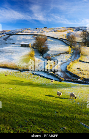 Swaledale emblématique grange avec gel dur hiver et ciel bleu national park England GB UK EU Europe Banque D'Images