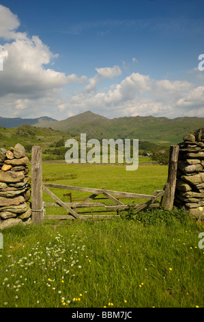 Le Lake District, regard vers le vieil homme de Coniston Banque D'Images