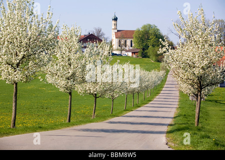 Le printemps à Berg, Église Saint Margaretha, Eurasburg borough, Bavière, Allemagne Banque D'Images