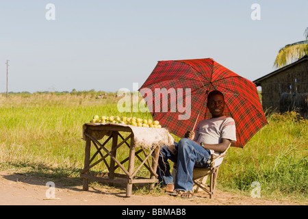 Un colporteur assis sous un parapluie fruits vente Quelimane Mozambique Banque D'Images