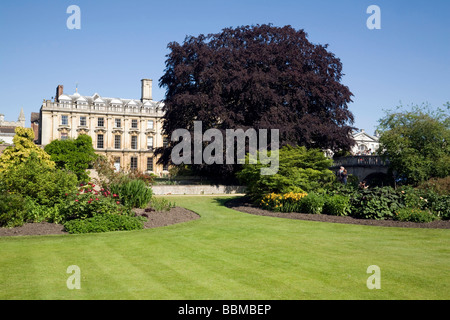 Les Fellows Garden, Clare College, Cambridge University, UK Banque D'Images