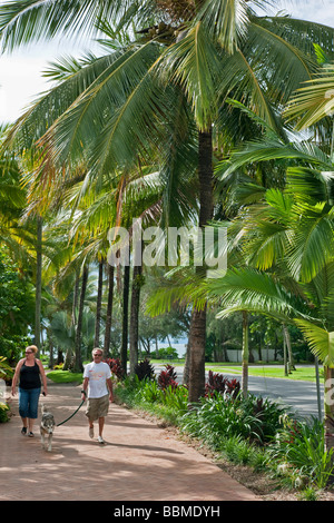 L'Australie, dans le Queensland. Une avenue des cocotiers à Port Douglas, une jolie ville portuaire dans le nord du Queensland. Banque D'Images