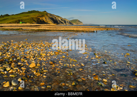 Paysage côtier à Charmouth Dorset England UK Banque D'Images