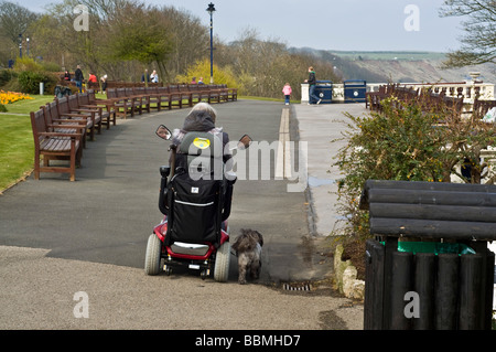 dh FILEY NORTH YORKSHIRE Lady en fauteuil roulant avec son chien une personne handicapée à pied poussette indépendante à pied Banque D'Images
