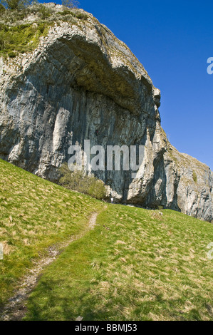 Dh Kilnsey Crag KILNSEY CRAG Yorkshire du Nord à l'échelle d'escalade de rocher falaise Wharfedale Yorkshire Dales National Park Banque D'Images