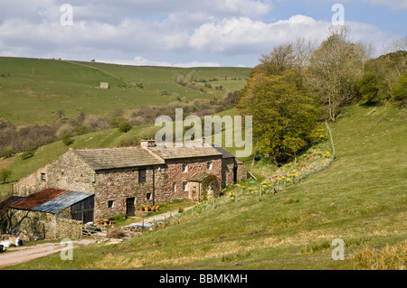 dh Nord Pennines Valley SWINDALE CUMBRIA Angleterre idyllique ferme anglaise cottage dans la maison de campagne extérieur de la ferme britannique Banque D'Images