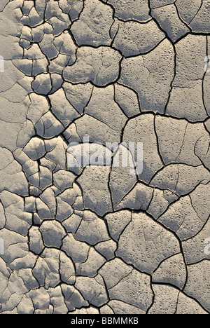 Flaque de boue séchée avec fissures sèches et des traces de gouttes de pluie, la route 24 à Caineville, Utah, USA Banque D'Images