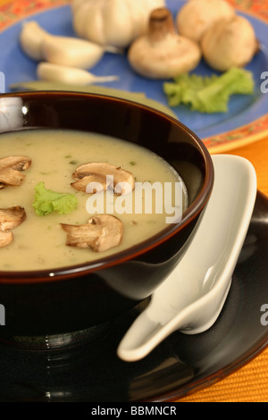 De crème de champignon est une soupe dans laquelle la combinaison de la viande et les champignons dans l'eau chaude jusqu'à l'extrait de parfum Banque D'Images