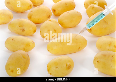 Seringue en pomme de terre, l'image symbolique, les aliments génétiquement modifiés Banque D'Images