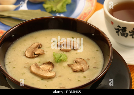 De crème de champignon est une soupe dans laquelle la combinaison de la viande et les champignons dans l'eau chaude jusqu'à l'extrait de parfum Banque D'Images