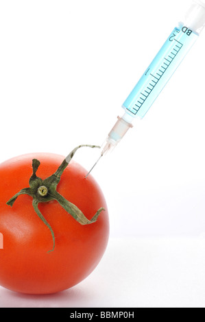 Seringue dans la tomate, l'image symbolique, les aliments génétiquement modifiés Banque D'Images
