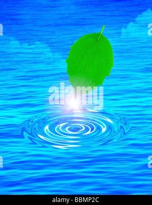 Pointe effilée de feuille shining (digital composite) Banque D'Images