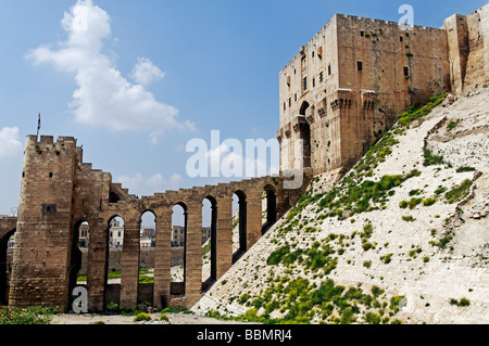 Pont menant à la citadelle, d'Alep, en Syrie, au Moyen-Orient, en Asie Banque D'Images