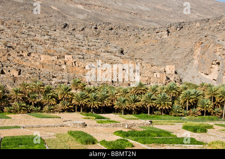 Oman Ghool village et les cultures au début du Wadi Nakhr et Wadi Ghool Dhakiliya dans la région de l'Oman Banque D'Images