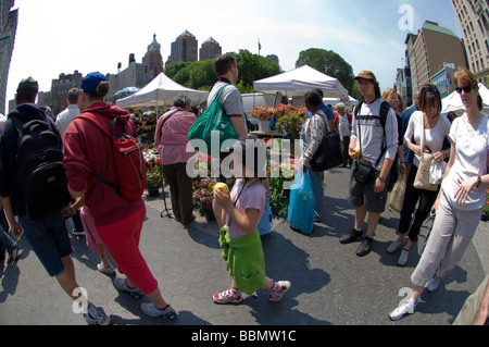 Les foules à l'Union Square Greenmarket à New York Banque D'Images