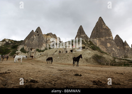 Ranch de chevaux entre pic de rochers au milieu de la Cappadoce, Turquie. Banque D'Images