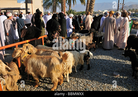 L'homme en costume traditionnel omanais, le bétail ou les animaux marché à Nizwa, Hajar al Gharbi, Montagnes, région Dakhliyah Al Sultanat Banque D'Images