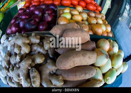 Les oignons et autres légumes à la vente à l'épicerie dans le New York Banque D'Images