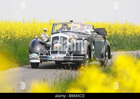 Horch 853 Cabriolet, UNE Auto Union, construite en 1935, classic car, véhicule préféré de Goering au Troisième Reich, rareté, vintage Banque D'Images