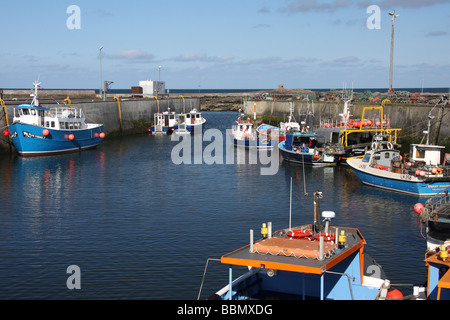 Bateaux dans port, Largs, Northumberland, Angleterre Banque D'Images