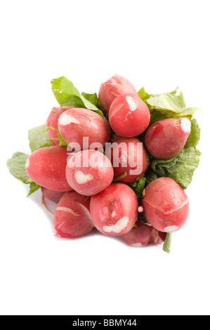 Objet sur matières premières alimentaires radis blanc jardin Banque D'Images
