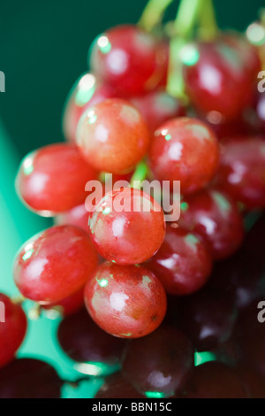 Les raisins rouges, close-up Banque D'Images