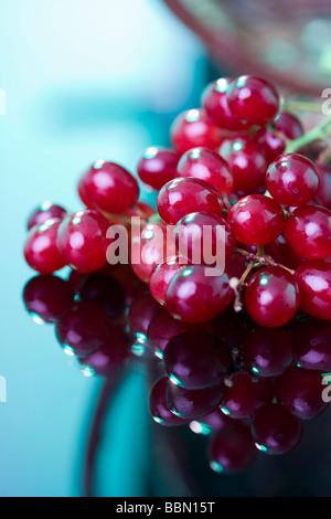 Les raisins rouges, Close up Banque D'Images