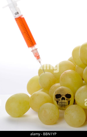 Seringue dans le raisin, image symbolique pour les aliments génétiquement modifiés Banque D'Images