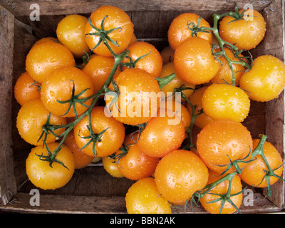 Heirloom tomatoes Orange London Borough Market Banque D'Images