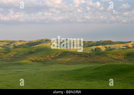 Collines Loess, casse électrique Grasslands (une réserve de conservation de la Nature), Comté (Iowa) Banque D'Images