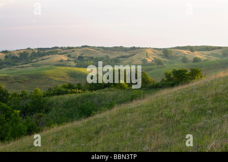 Collines Loess, casse électrique Grasslands (une réserve de conservation de la Nature), Comté (Iowa) Banque D'Images