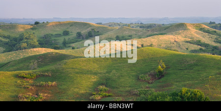 Collines Loess, casse électrique Grasslands (une réserve de conservation de la Nature), Comté (Iowa) Banque D'Images