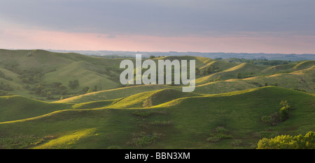 Collines Loess, casse électrique Grasslands (une réserve de conservation de la Nature), Comté (Iowa) Banque D'Images