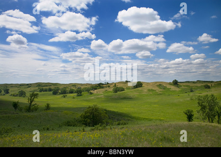 Collines Loess, casse électrique Grasslands (une réserve de conservation de la Nature), Comté (Iowa) Banque D'Images