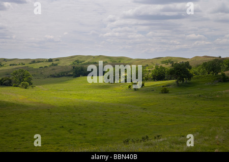 Collines Loess, casse électrique Grasslands (une réserve de conservation de la Nature), Comté (Iowa) Banque D'Images