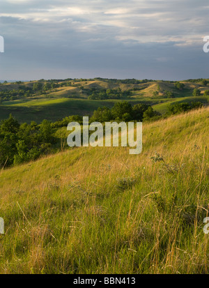 Collines Loess, casse électrique Grasslands (une réserve de conservation de la Nature), Comté (Iowa) Banque D'Images