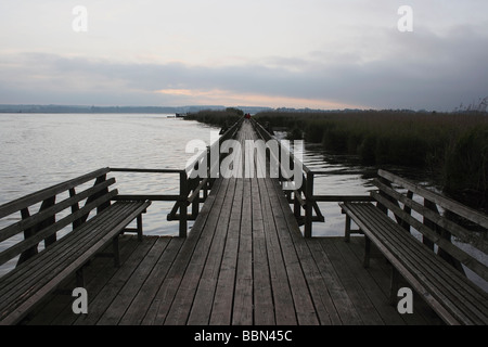 Sur la passerelle du lac Federsee Federsee à avant le lever du soleil, réserve naturelle, avec 33 kilomètres carrés le plus grand marais southw Banque D'Images